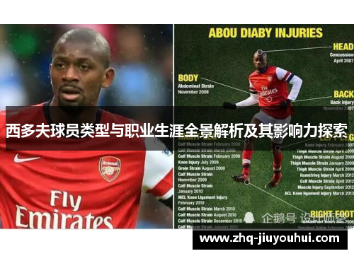 西多夫球员类型与职业生涯全景解析及其影响力探索